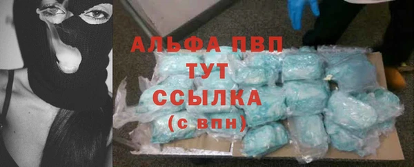 винт Алексин