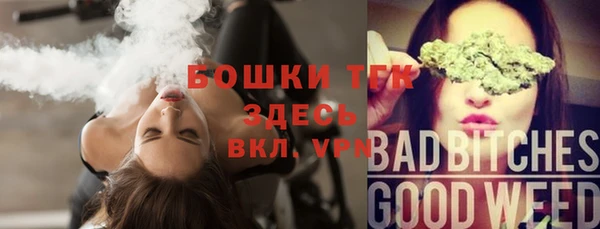 винт Алексин