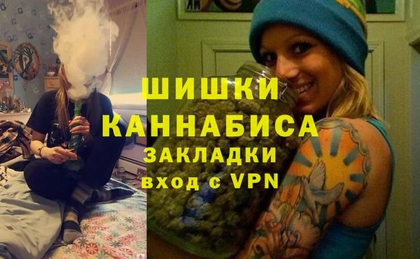 шишки Алзамай