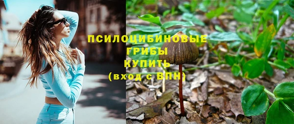 сатива Арсеньев