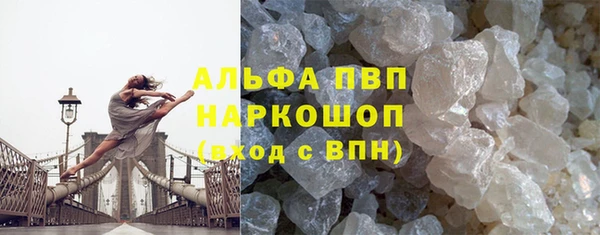 сатива Арсеньев